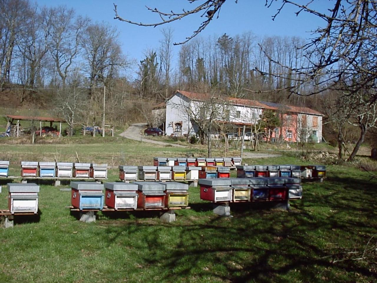 Agriturismo Cà Rossano Licciana Nardi Esterno foto